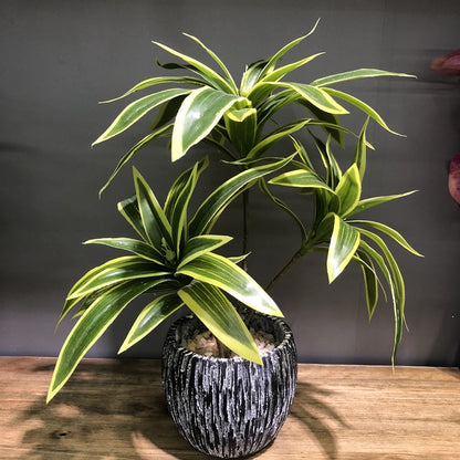 Kunstig Dracaena Plante med 3 stilker, 35cm høy
