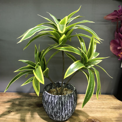 Kunstig Dracaena Plante med 3 stilker, 35cm høy